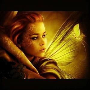 Meet your Posher, Vimary